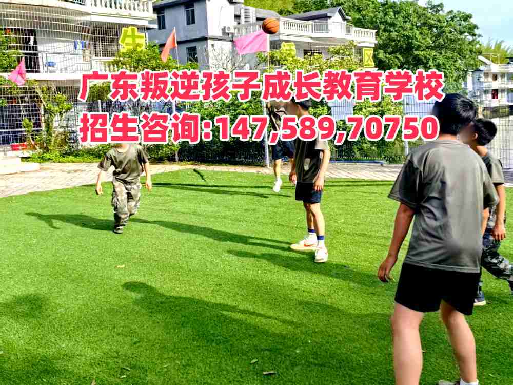 廣東成長教育招生熱線14758970750